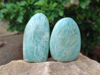 Polished Amazonite Standing Free Form x 12 From Madagascar