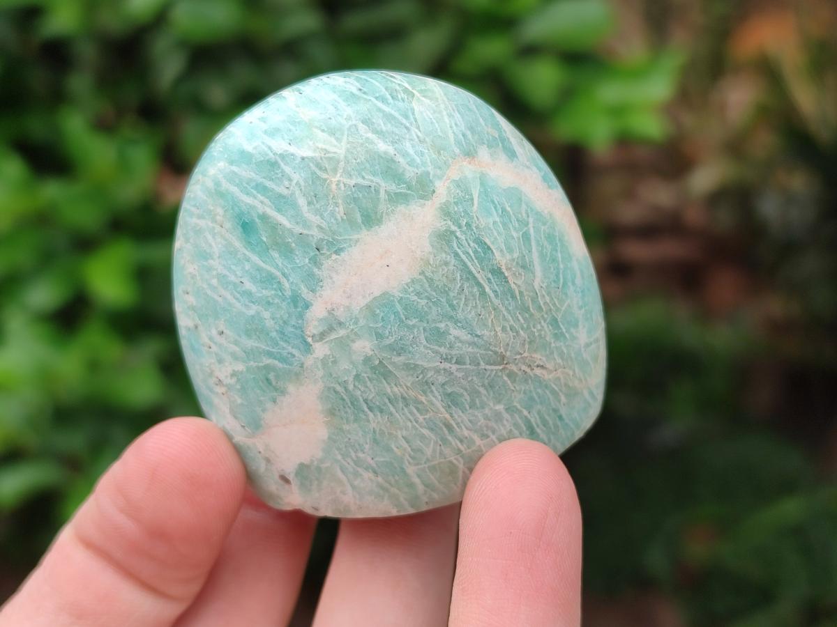 Polished Amazonite Standing Free Form x 12 From Madagascar