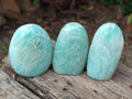 Polished Amazonite Standing Free Form x 12 From Madagascar - Toprock Gemstones and Minerals 