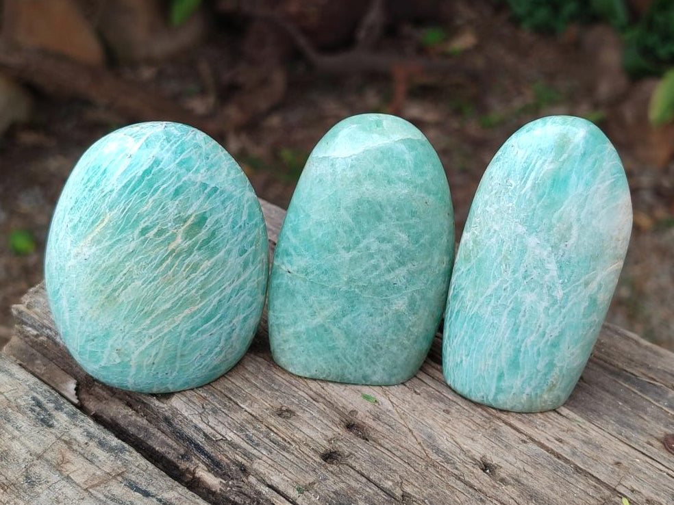 Polished Amazonite Standing Free Form x 12 From Madagascar