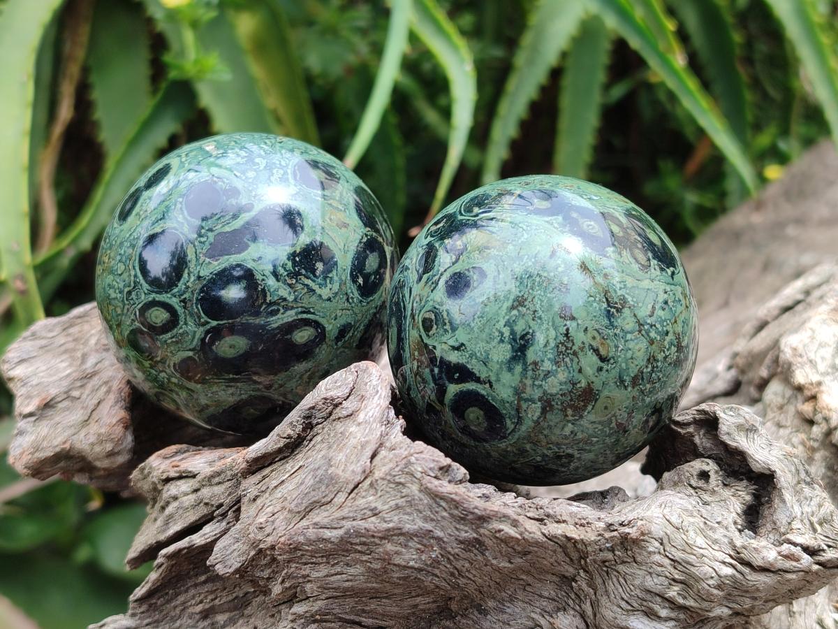 Polished Stromatolite Spheres x 6 From Katsepy, Madagascar