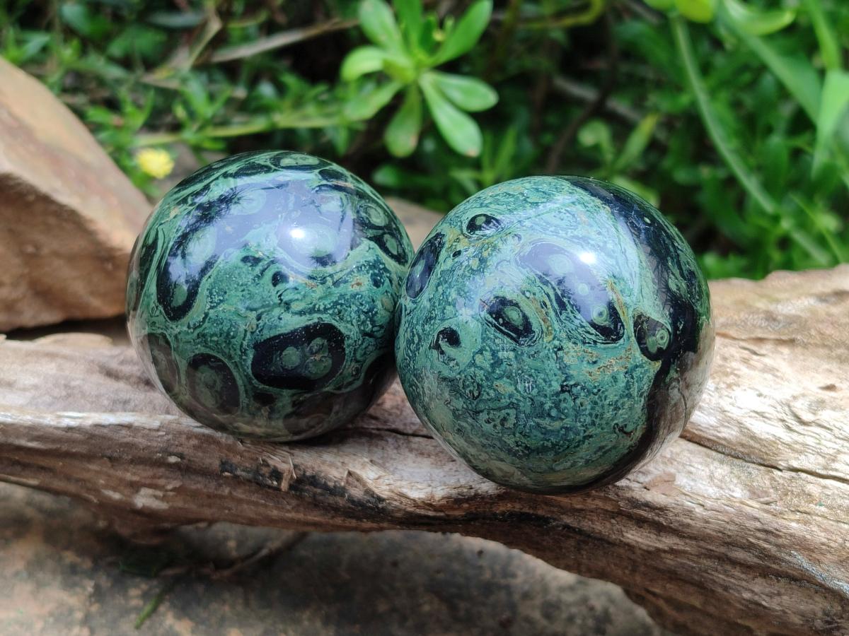 Polished Stromatolite Spheres x 6 From Katsepy, Madagascar