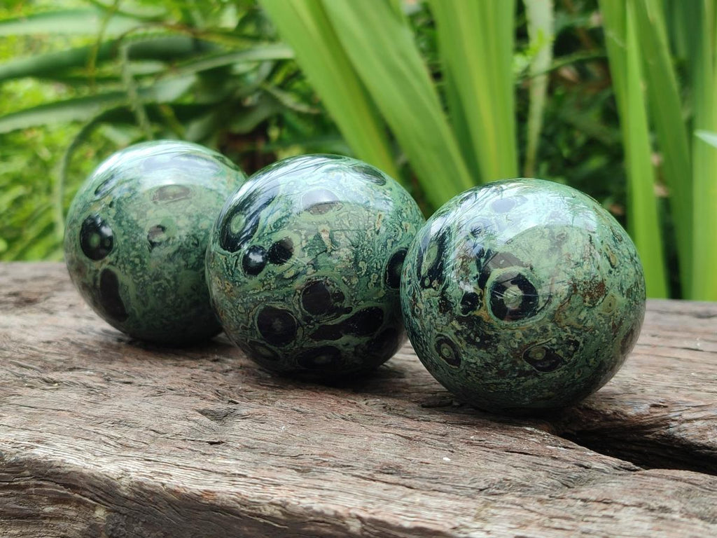 Polished Stromatolite Spheres x 6 From Katsepy, Madagascar