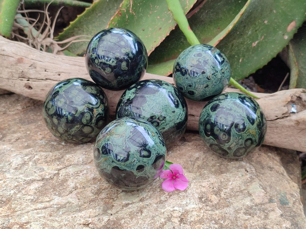 Polished Stromatolite Spheres x 6 From Katsepy, Madagascar