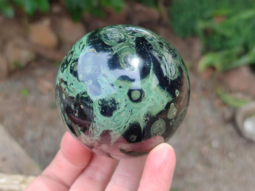 Polished Stromatolite Spheres x 6 From Katsepy, Madagascar