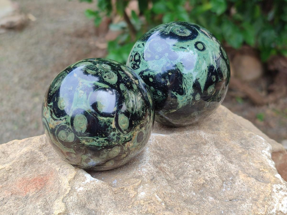 Polished Stromatolite Spheres x 6 From Katsepy, Madagascar