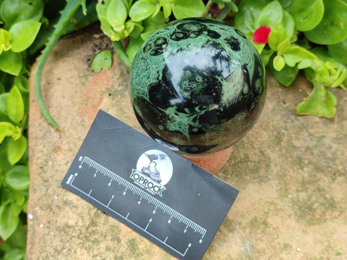 Polished Stromatolite Spheres x 6 From Katsepy, Madagascar