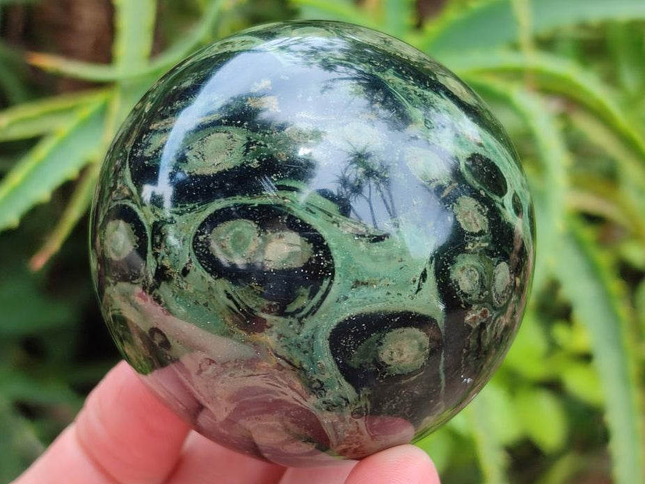 Polished Stromatolite Spheres x 6 From Katsepy, Madagascar