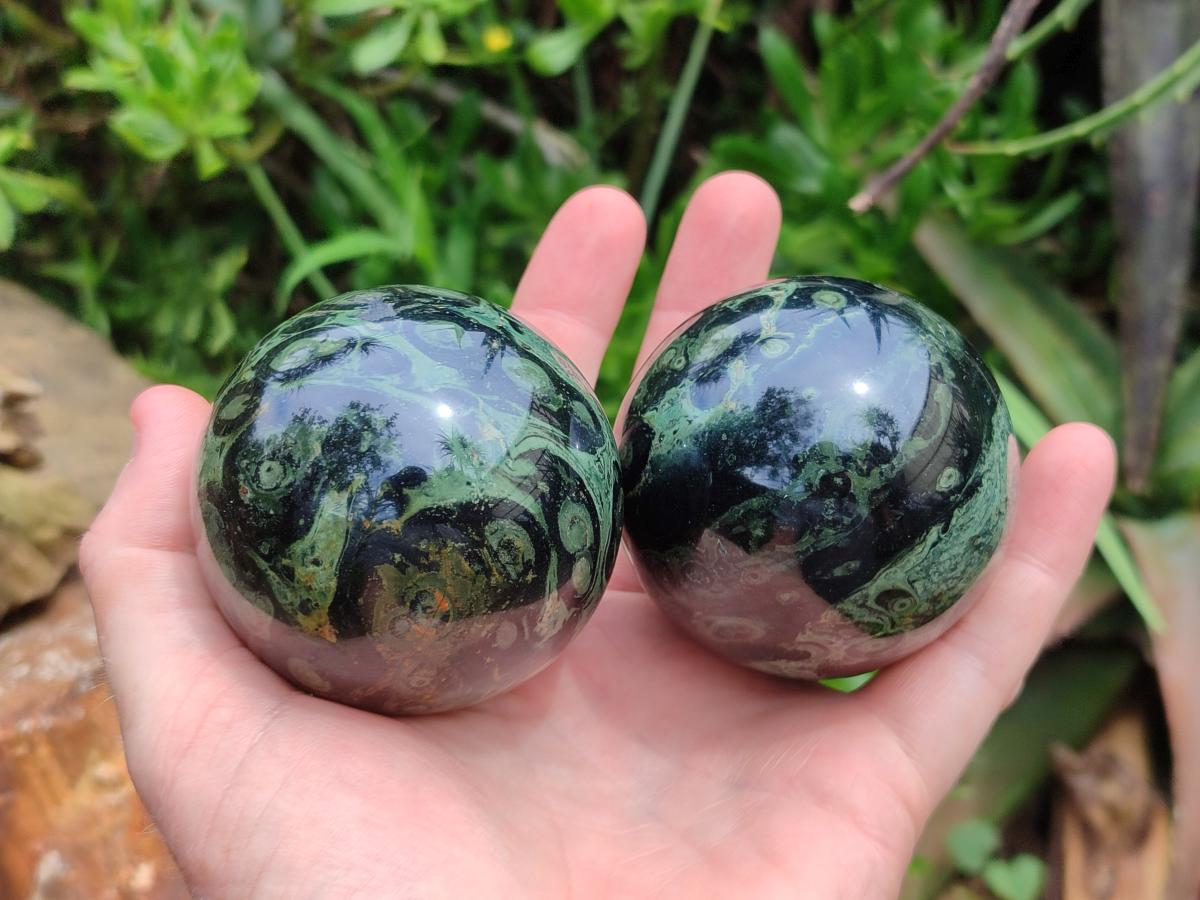 Polished Stromatolite Spheres x 6 From Katsepy, Madagascar