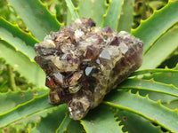 Natural Rare Asylum Multi Phantom Amethyst Crystal Clusters x 6 From Luena, Congo