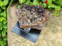 Natural Rare Asylum Multi Phantom Amethyst Crystal Clusters x 6 From Luena, Congo