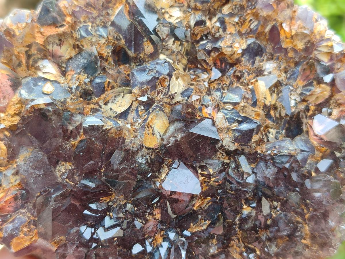 Natural Rare Asylum Multi Phantom Amethyst Crystal Clusters x 6 From Luena, Congo