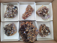 Natural Rare Asylum Multi Phantom Amethyst Crystal Clusters x 6 From Luena, Congo