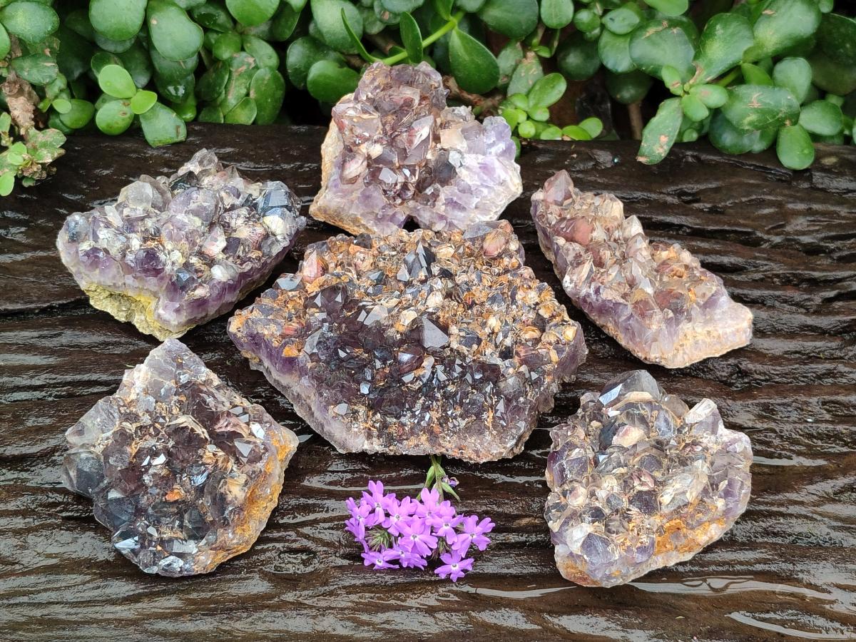 Natural Rare Asylum Multi Phantom Amethyst Crystal Clusters x 6 From Luena, Congo