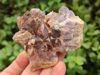 Natural Rare Asylum Multi Phantom Amethyst Crystal Clusters x 6 From Luena, Congo