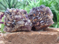 Natural Rare Asylum Multi Phantom Amethyst Crystal Clusters x 6 From Luena, Congo
