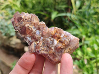 Natural Rare Asylum Multi Phantom Amethyst Crystal Clusters x 6 From Luena, Congo