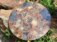 A Polished Ammonite Fossil Conglomerate Plaque or Table Plate Holders x 2 From Mahajanga, Madagascar