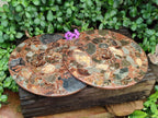 A Polished Ammonite Fossil Conglomerate Plaque or Table Plate Holders x 2 From Mahajanga, Madagascar