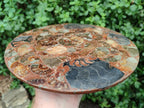 A Polished Ammonite Fossil Conglomerate Plaque or Table Plate Holders x 2 From Mahajanga, Madagascar