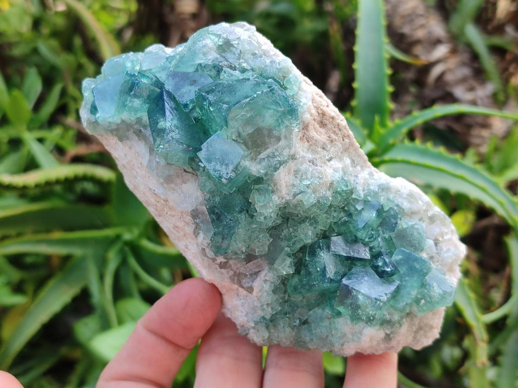 Natural Cubic Green Fluorite Cluster Specimens x 2 From Mandrosonoro, Madagascar - Toprock Gemstones and Minerals 