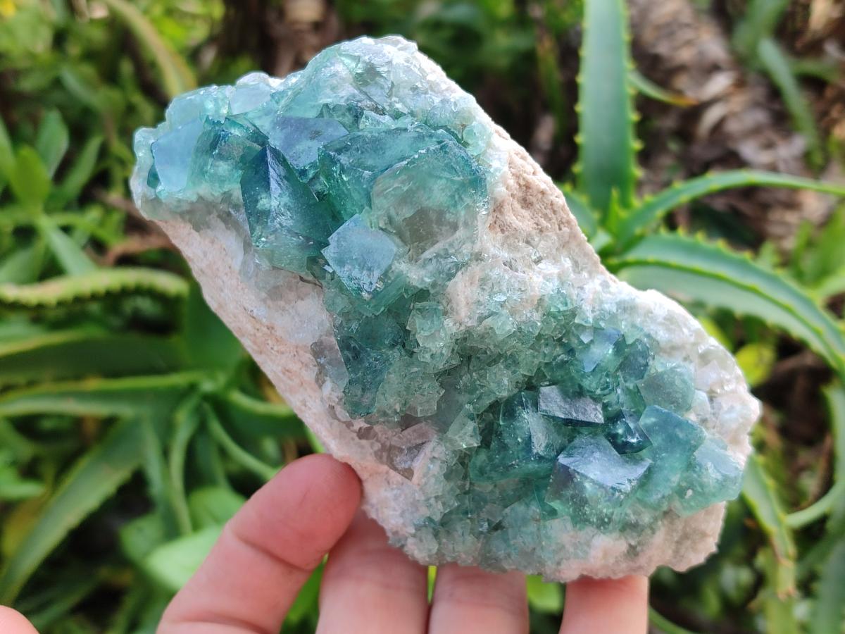 Natural Cubic Green Fluorite Cluster Specimens x 2 From Mandrosonoro, Madagascar - Toprock Gemstones and Minerals 