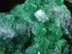 Natural Cubic Green Fluorite Cluster Specimens x 2 From Mandrosonoro, Madagascar - Toprock Gemstones and Minerals 