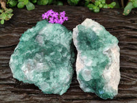 Natural Cubic Green Fluorite Cluster Specimens x 2 From Mandrosonoro, Madagascar