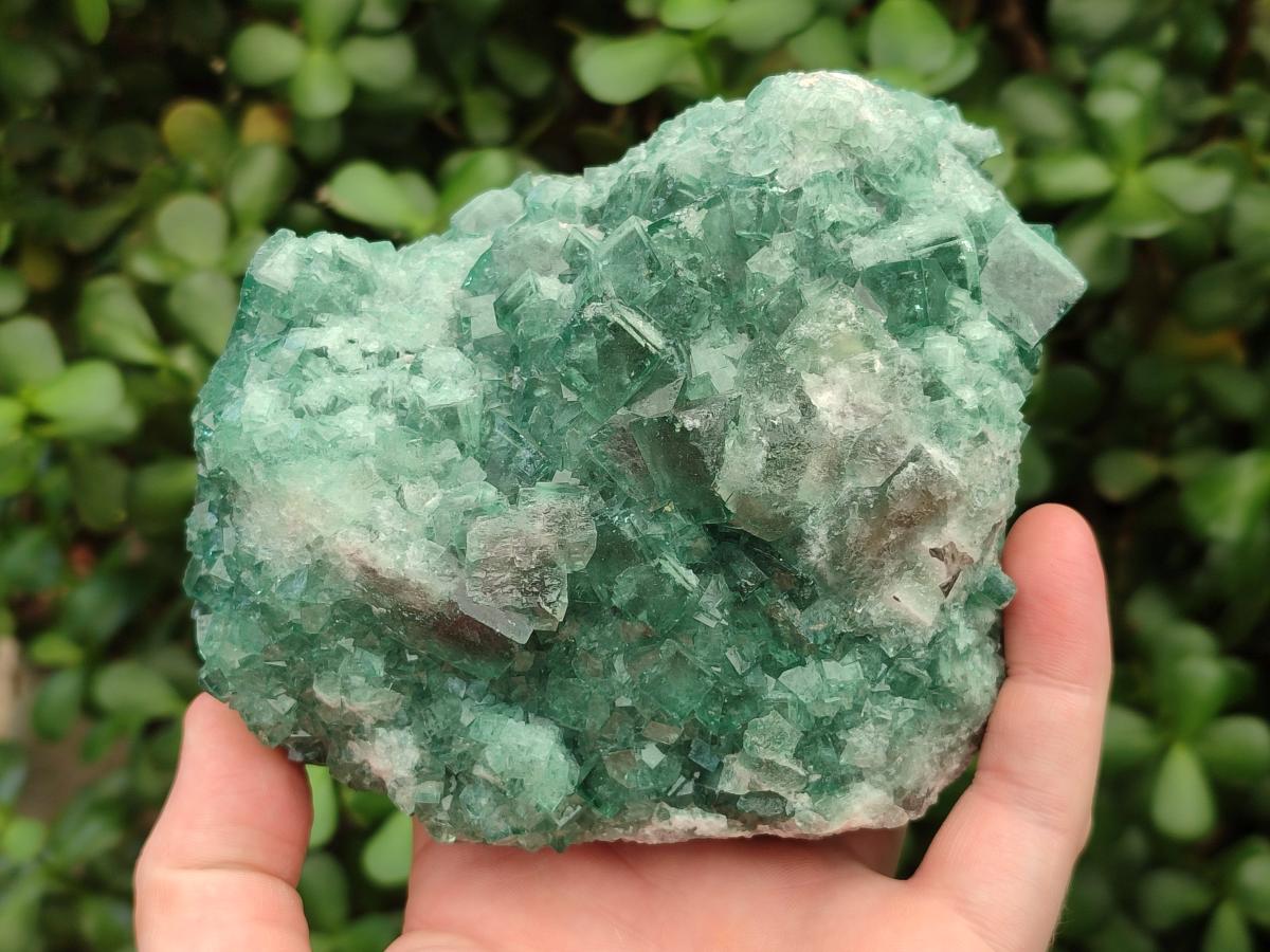 Natural Cubic Green Fluorite Cluster Specimens x 2 From Mandrosonoro, Madagascar - Toprock Gemstones and Minerals 