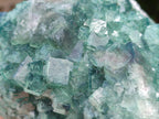 Natural Cubic Green Fluorite Cluster Specimens x 2 From Mandrosonoro, Madagascar - Toprock Gemstones and Minerals 