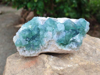 Natural Cubic Green Fluorite Cluster Specimens x 2 From Mandrosonoro, Madagascar