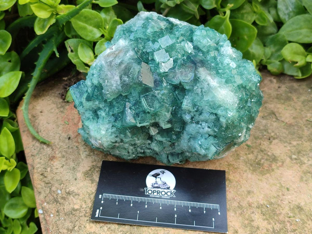 Natural Cubic Green Fluorite Cluster Specimens x 2 From Mandrosonoro, Madagascar - Toprock Gemstones and Minerals 