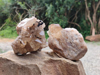 Natural Cascading Citrine Quartz Clusters x 2 From Luena, Congo