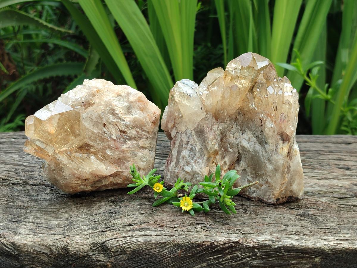 Natural Cascading Citrine Quartz Clusters x 2 From Luena, Congo