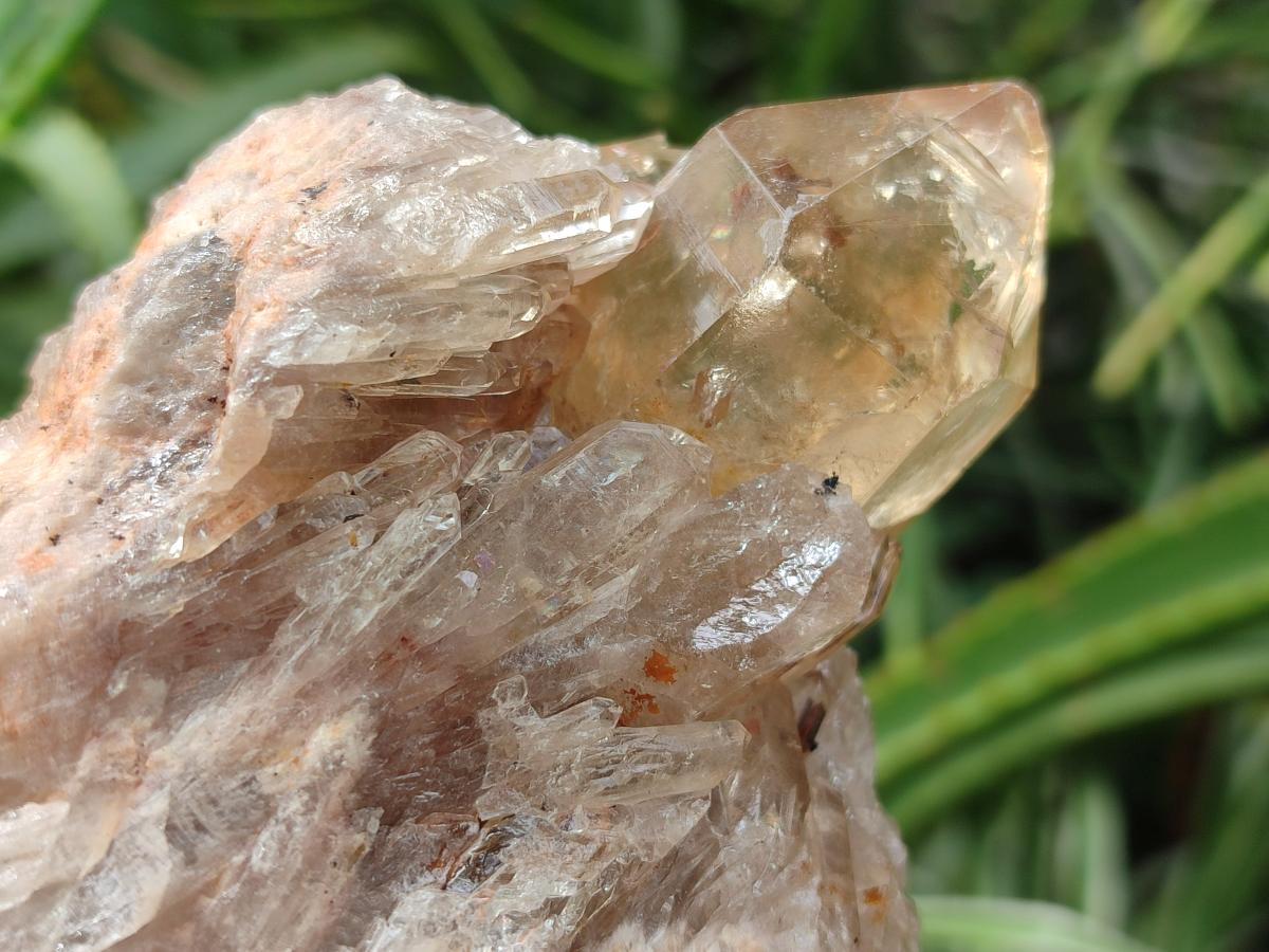 Natural Cascading Citrine Quartz Clusters x 2 From Luena, Congo