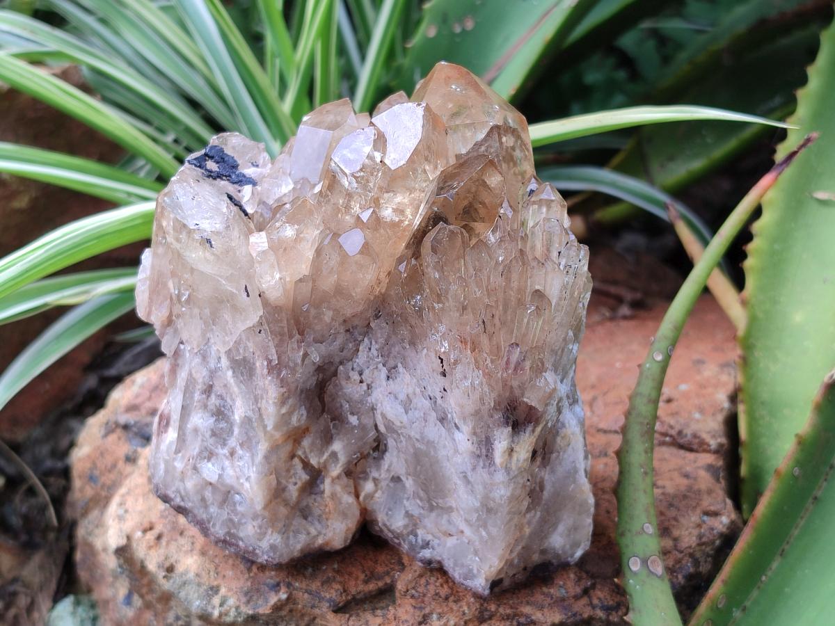 Natural Cascading Citrine Quartz Clusters x 2 From Luena, Congo