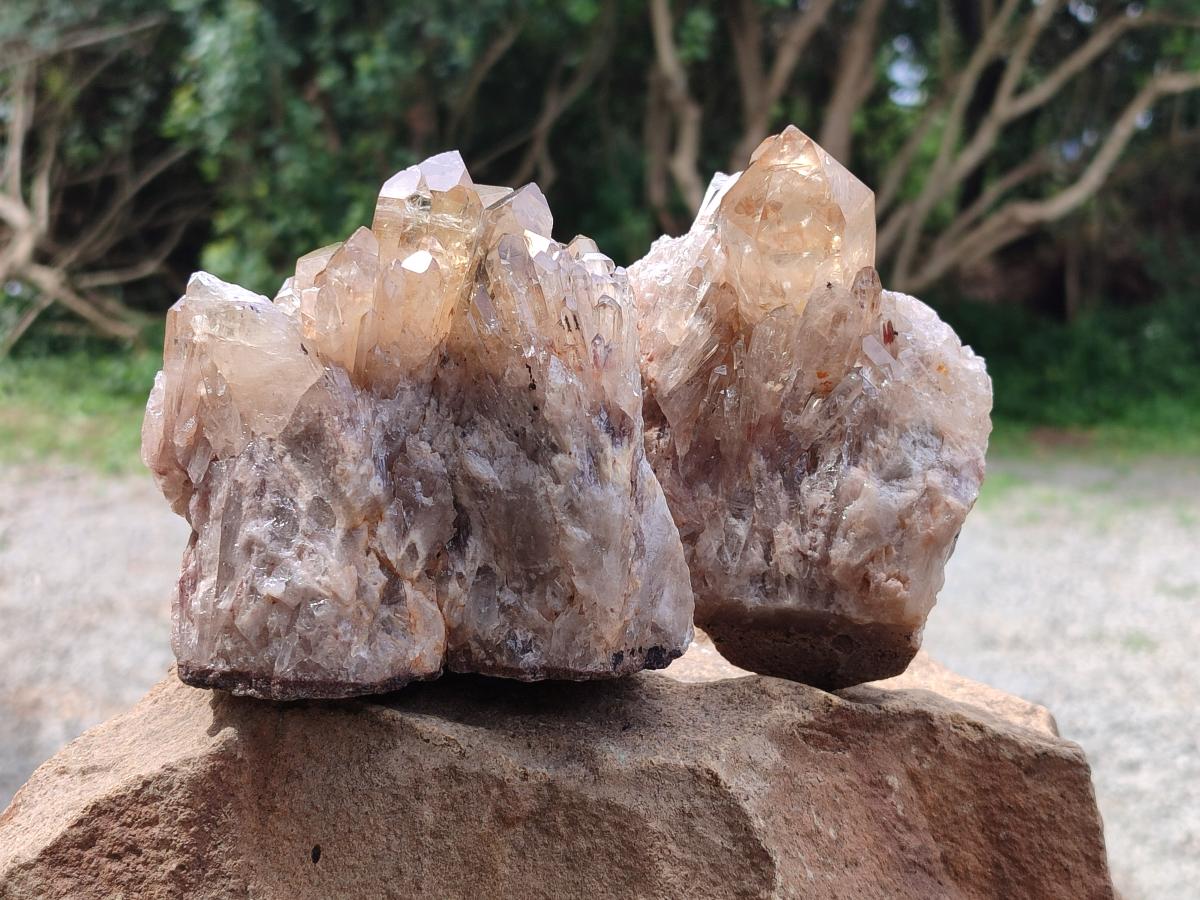 Natural Cascading Citrine Quartz Clusters x 2 From Luena, Congo