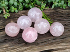 Polished Gemmy Star Rose Quartz Spheres x 6 From Madagascar
