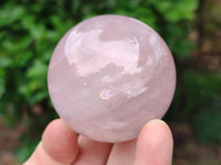 Polished Gemmy Star Rose Quartz Spheres x 6 From Madagascar