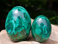 Polished Flower Banded Malachite Gemstone Eggs x 6 From Congo
