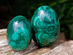 Polished Flower Banded Malachite Gemstone Eggs x 6 From Congo