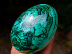 Polished Flower Banded Malachite Gemstone Eggs x 6 From Congo