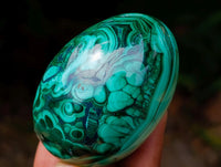 Polished Flower Banded Malachite Gemstone Eggs x 6 From Congo