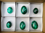 Polished Flower Banded Malachite Gemstone Eggs x 6 From Congo
