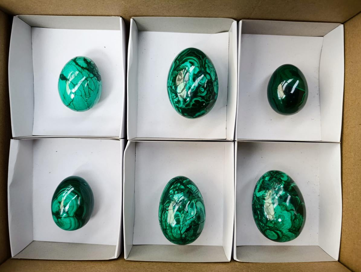 Polished Flower Banded Malachite Gemstone Eggs x 6 From Congo