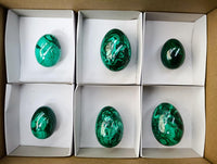 Polished Flower Banded Malachite Gemstone Eggs x 6 From Congo