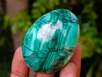 Polished Flower Banded Malachite Gemstone Eggs x 6 From Congo