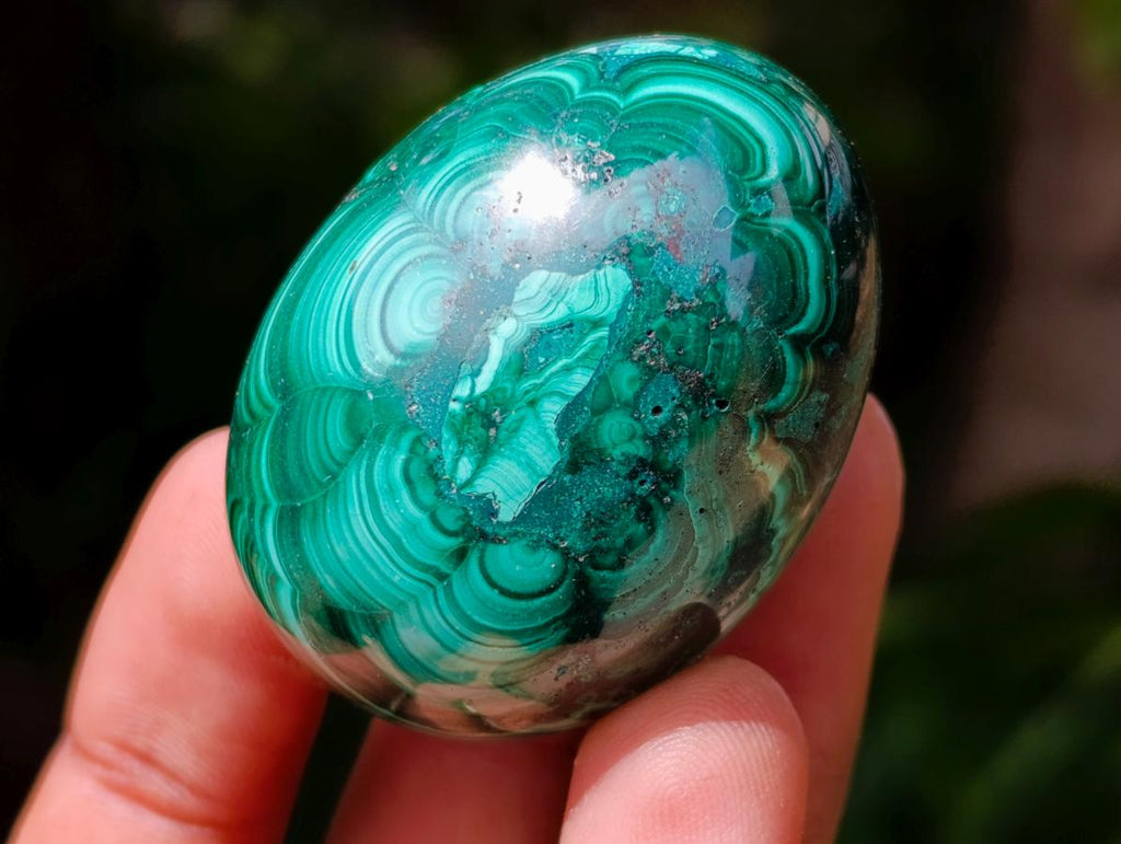 Polished Flower Banded Malachite Gemstone Eggs x 6 From Congo