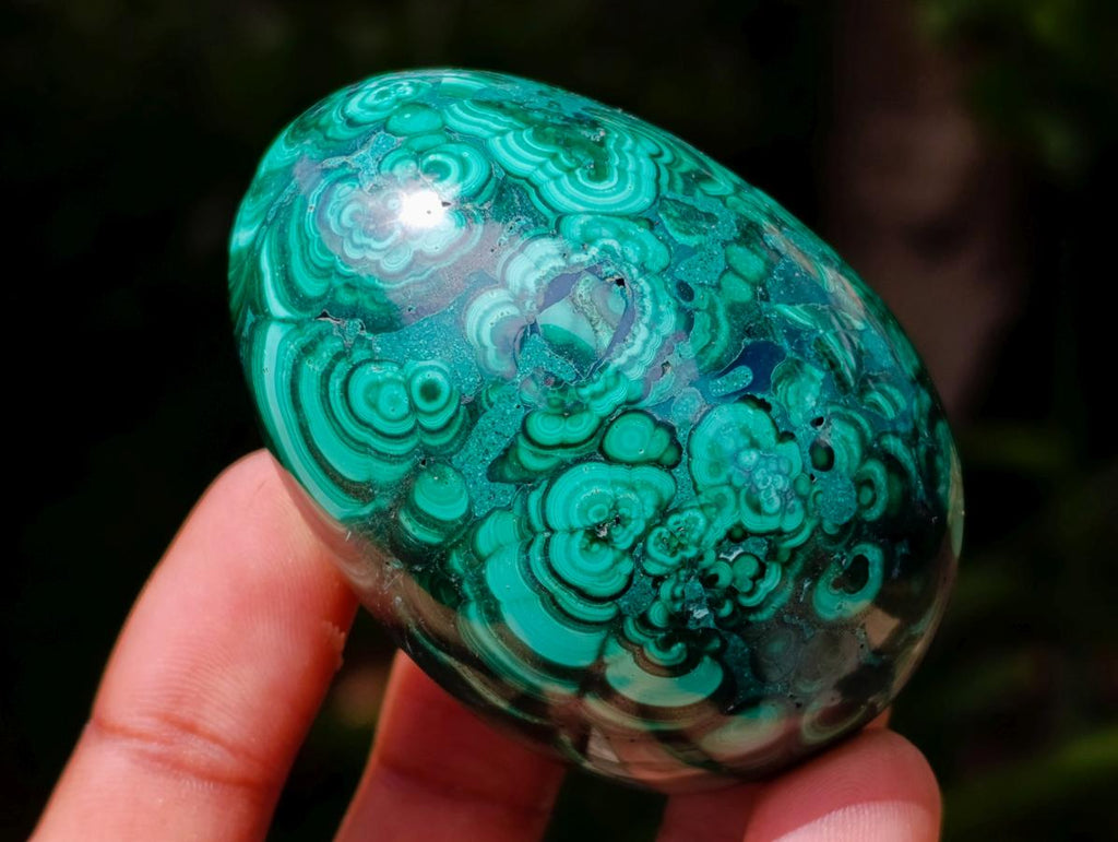 Polished Flower Banded Malachite Gemstone Eggs x 6 From Congo