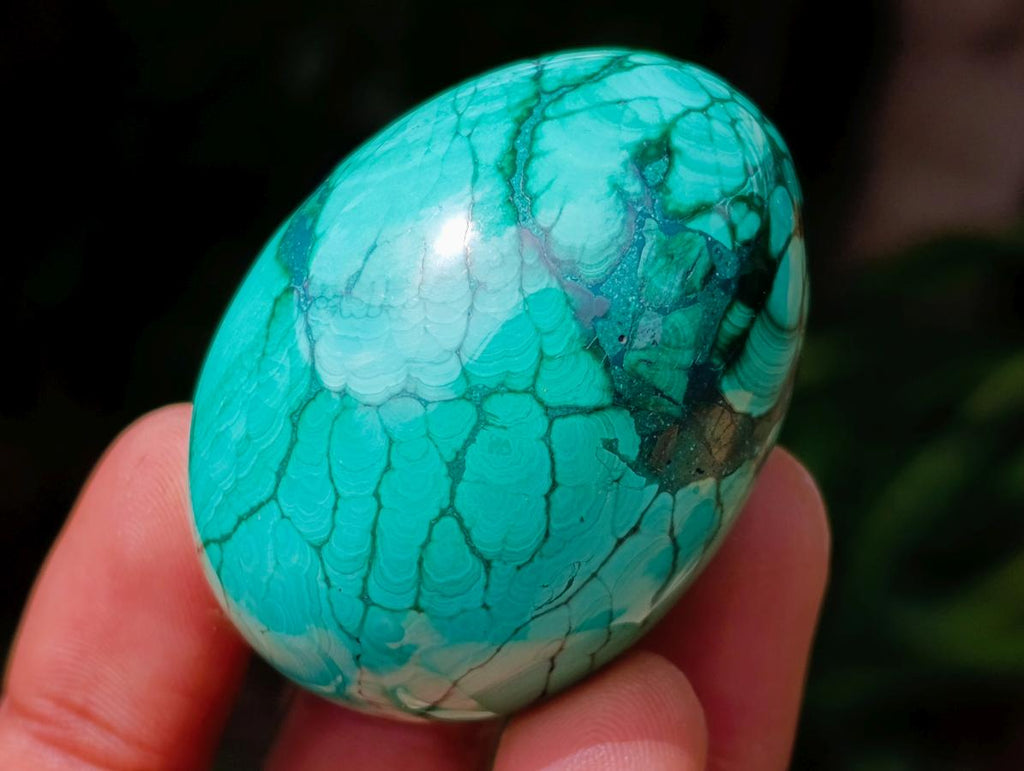 Polished Flower Banded Malachite Gemstone Eggs x 6 From Congo